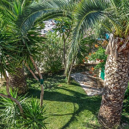 Olive Grove Apts Lithakia  المظهر الخارجي الصورة