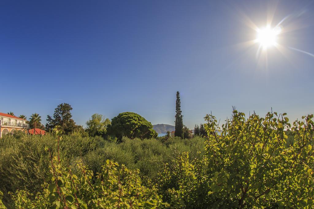 Olive Grove Apts Lithakia  الغرفة الصورة