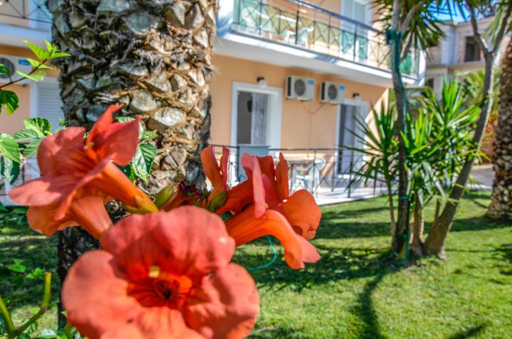 Olive Grove Apts Lithakia  المظهر الخارجي الصورة
